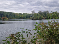 Lobau - Northern part